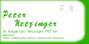 peter metzinger business card